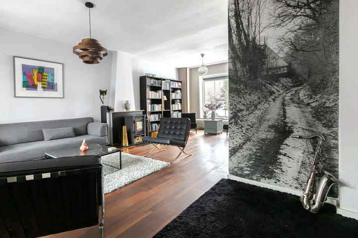 Foto 7 van Van Alphenstraat 10