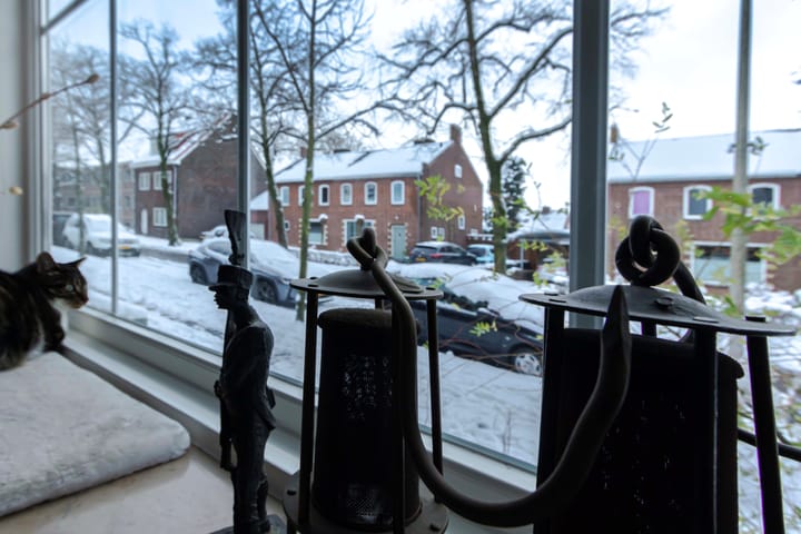 Foto 10 van Van Alphenstraat 10