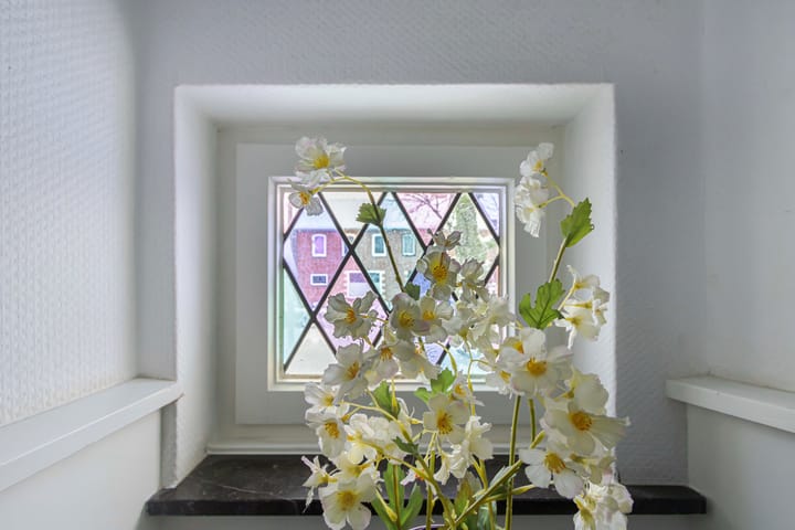 Foto 21 van Van Alphenstraat 10