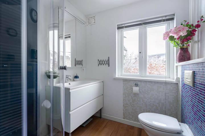 Foto 24 van Van Alphenstraat 10