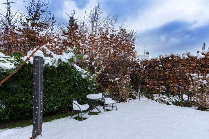 Foto 42 van Van Alphenstraat 10