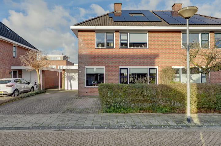 Foto 3 van Ligusterhage 10