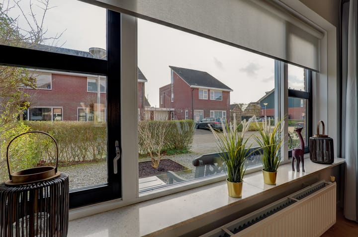 Foto 8 van Ligusterhage 10