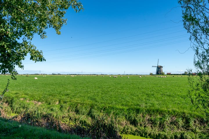 Foto 54 van Binnenkruier 14