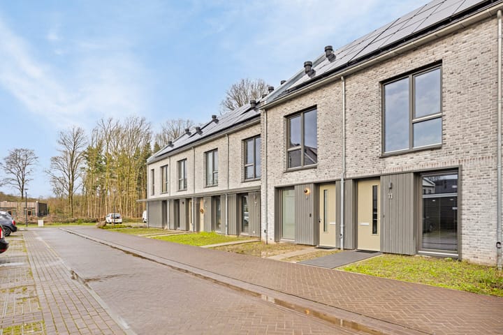 Foto 31 van Dennenbos 11