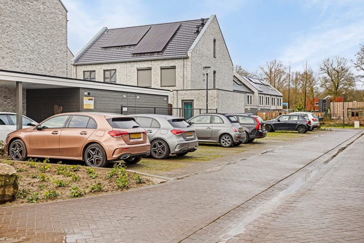 Foto 32 van Dennenbos 11