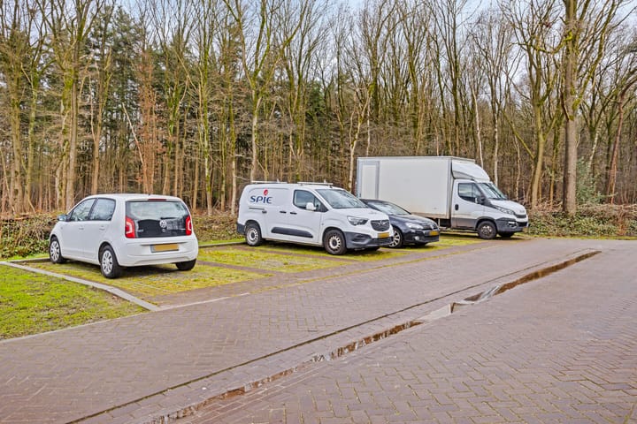 Foto 33 van Dennenbos 11