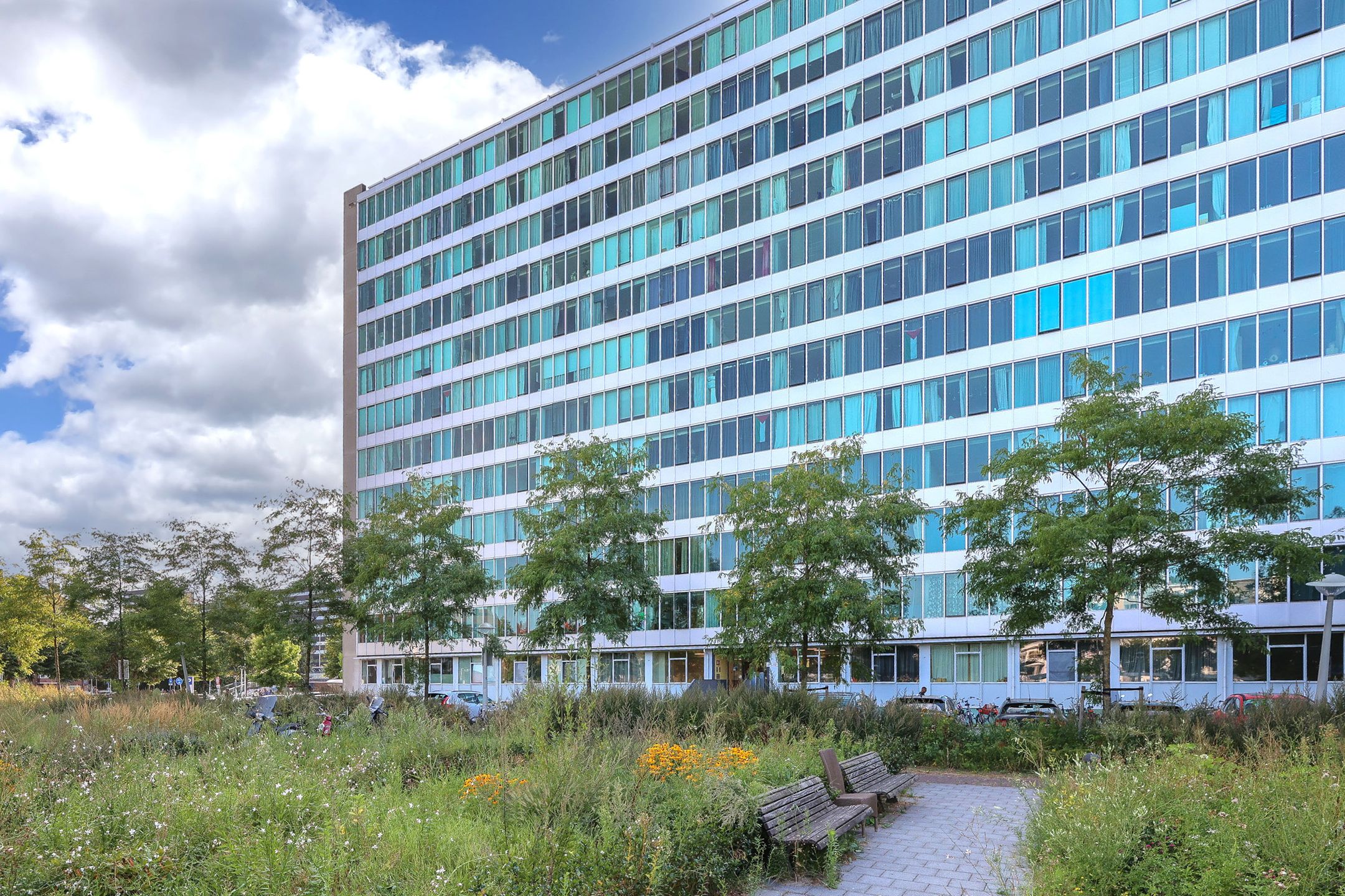 Foto 18 van Bos en Lommerplantsoen 101-P