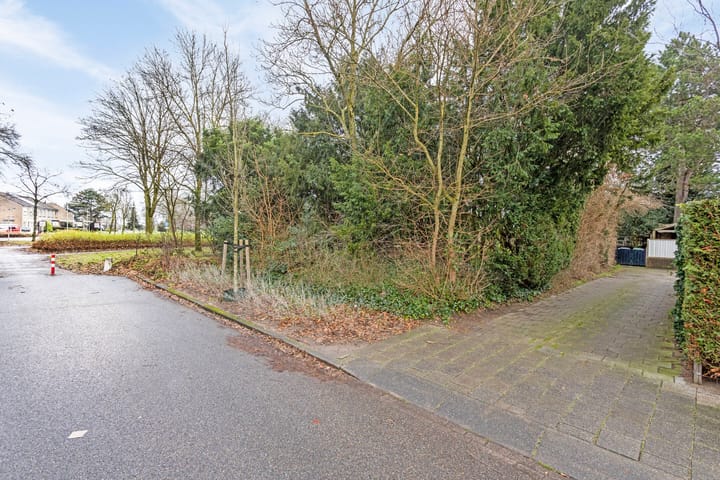 Foto 35 van Adelaar 4