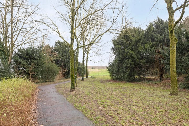 Foto 36 van Adelaar 4