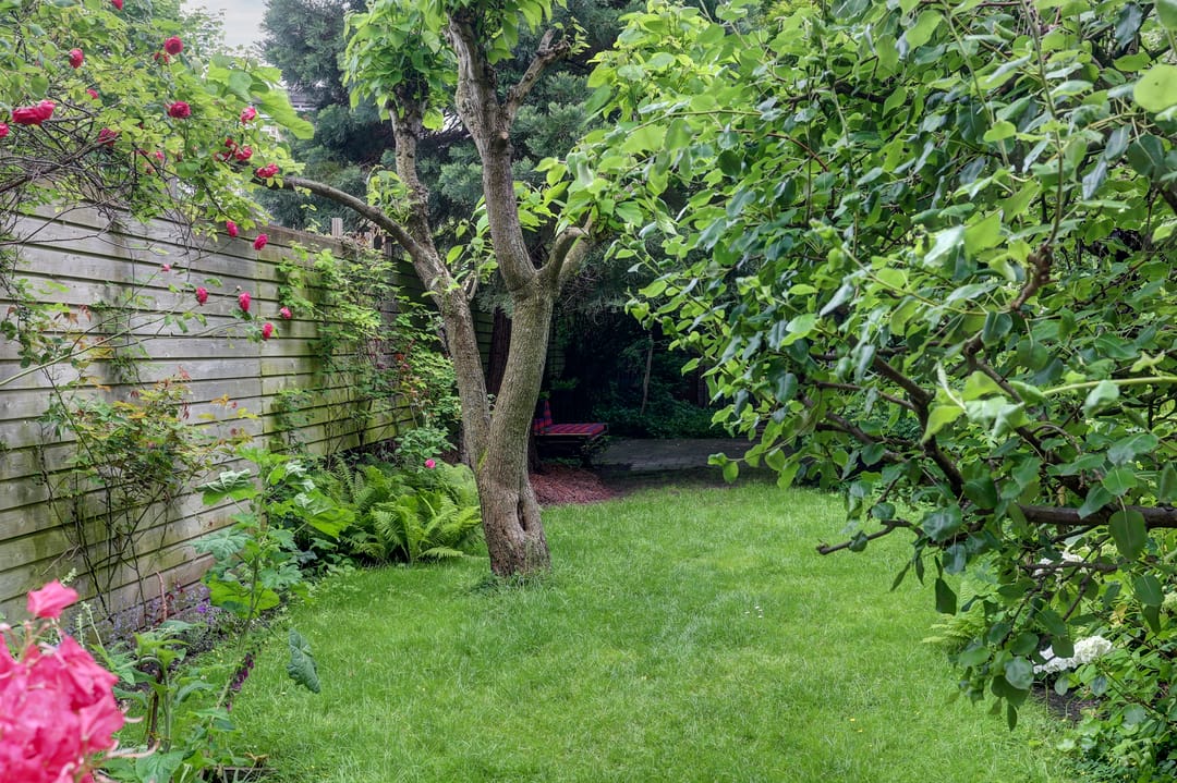 Foto 43 van 's-Gravendijkwal 16-A