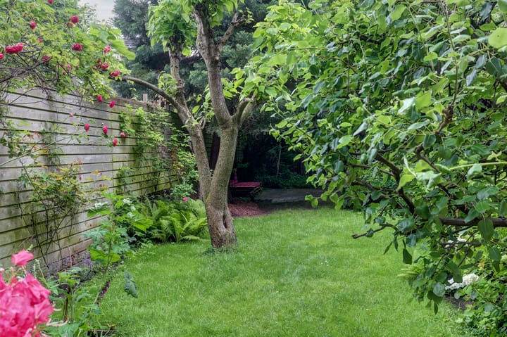 Foto 43 van 's-Gravendijkwal 16-A