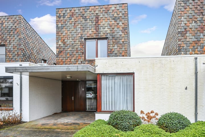 Foto 7 van Indiëganger 6