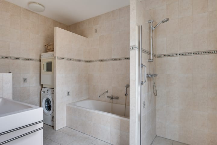 Foto 19 van Indiëganger 6