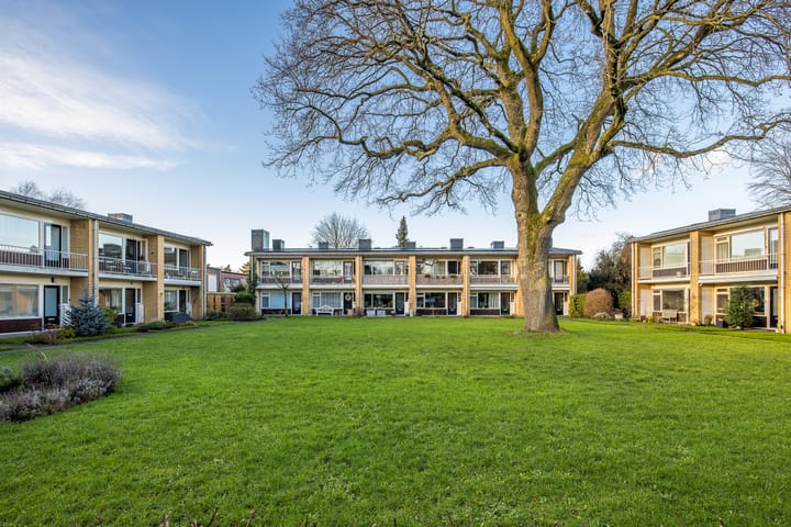 Foto 2 van Steniahof 114