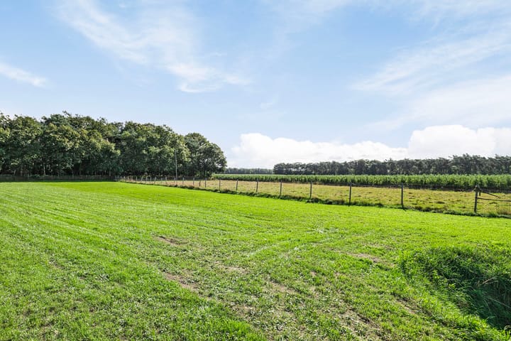 Foto 46 van Weebosch 139