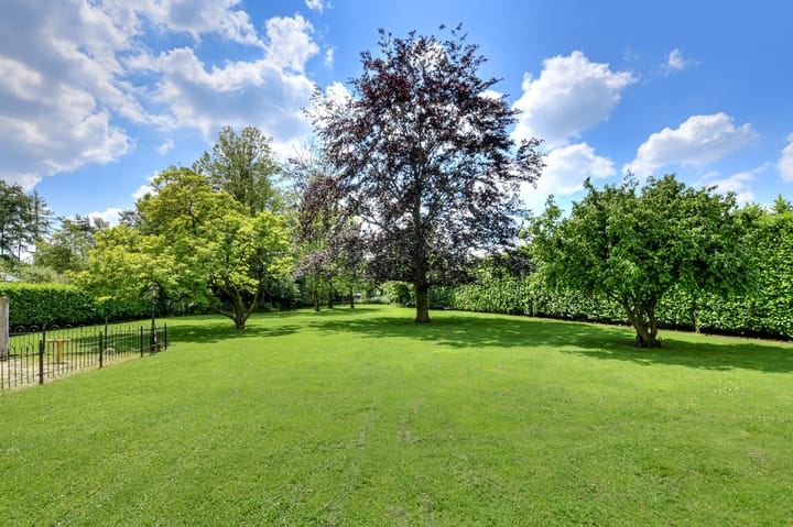 Foto 66 van Vaareindseweg 65