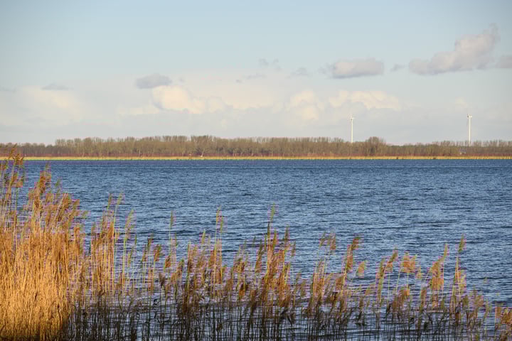 Photo 28 of Slangekruid 53