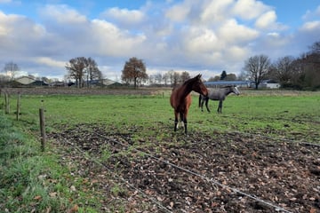 Bekijk foto's