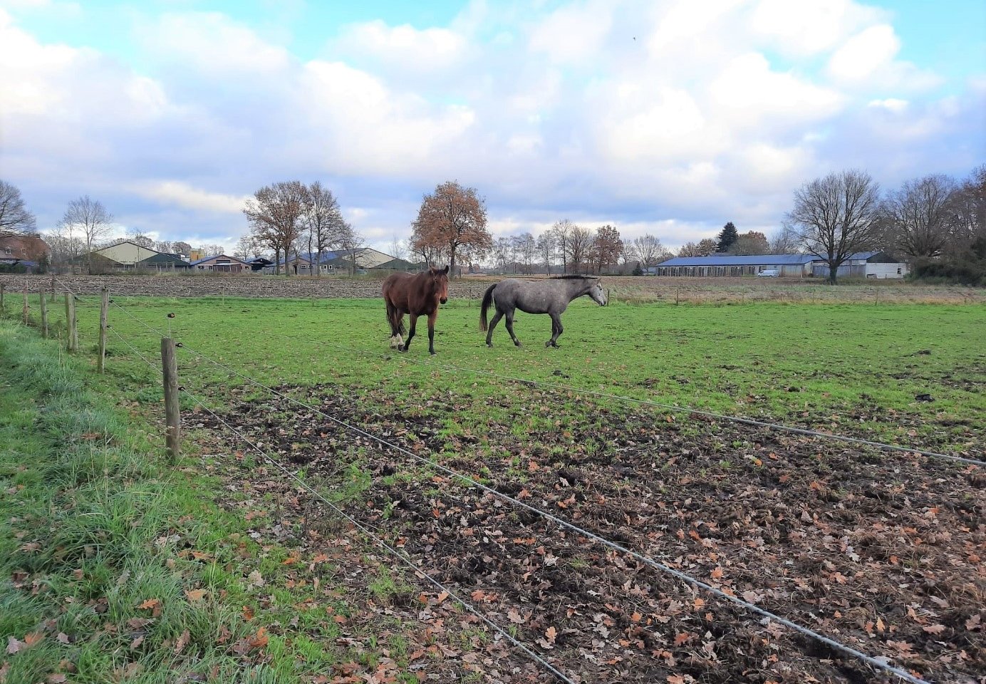 Bekijk foto 3 van Wildingsteeg