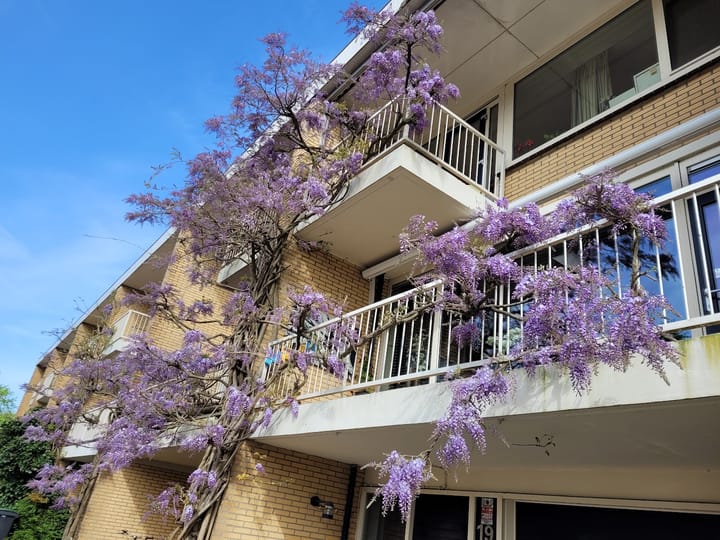 Foto 8 van Camera Obscuralaan 19