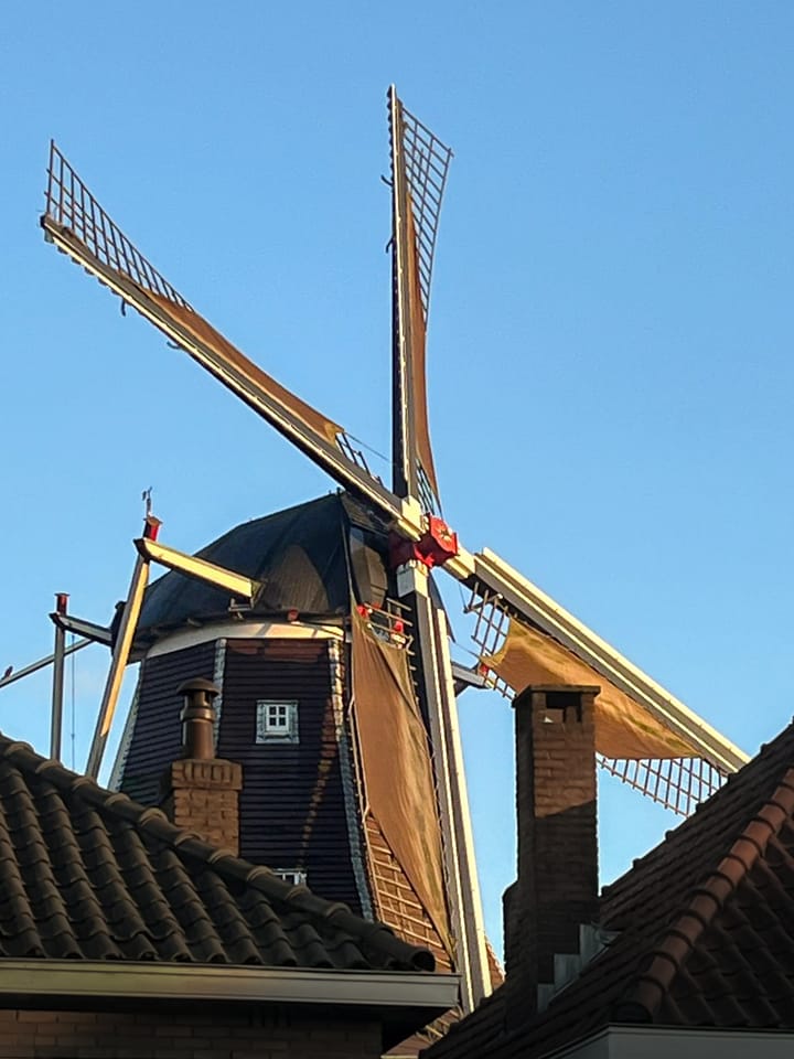 Foto 36 van Schuttevaerstraat 23