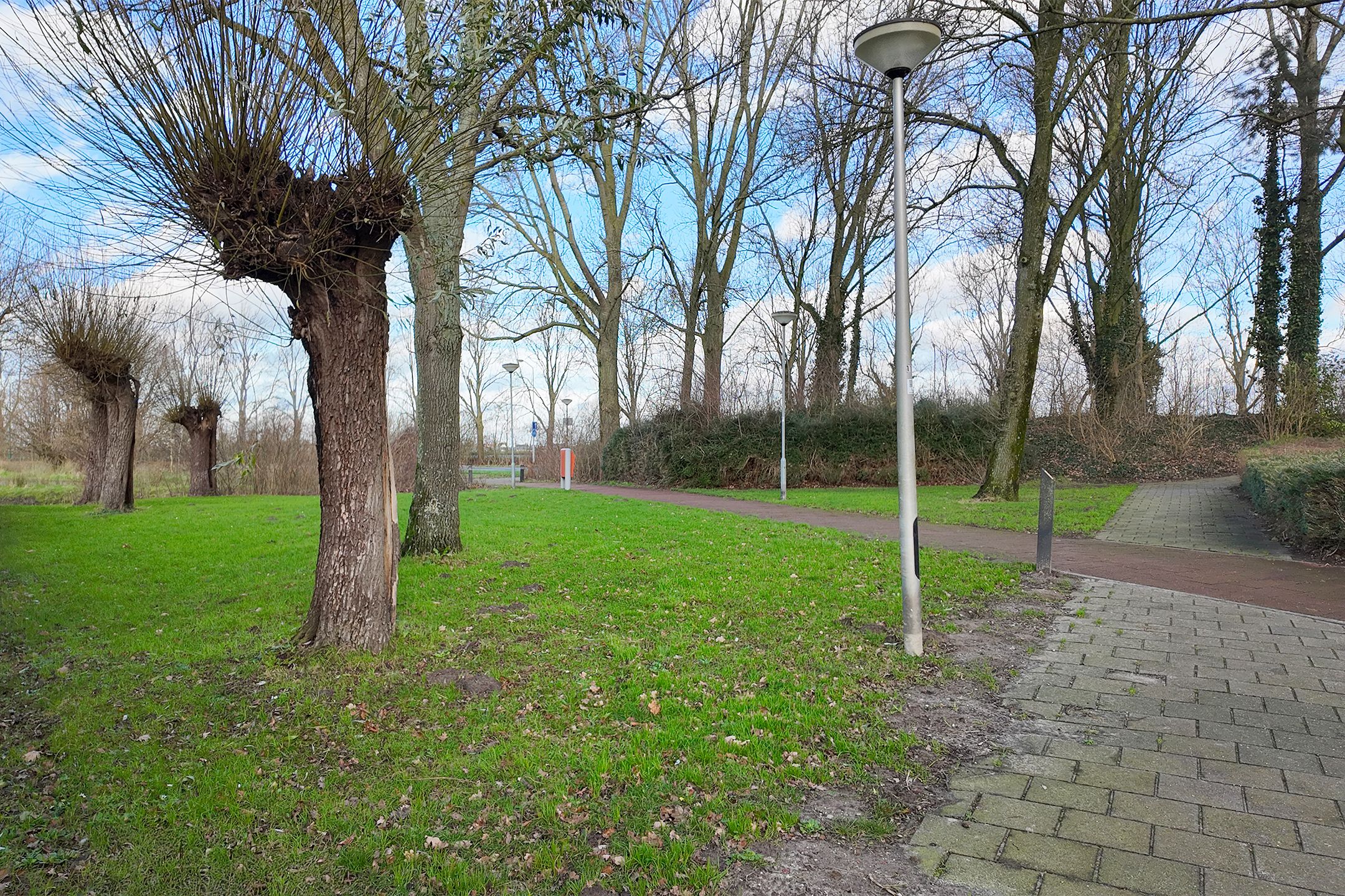 Foto 63 van Beukenlaan 31