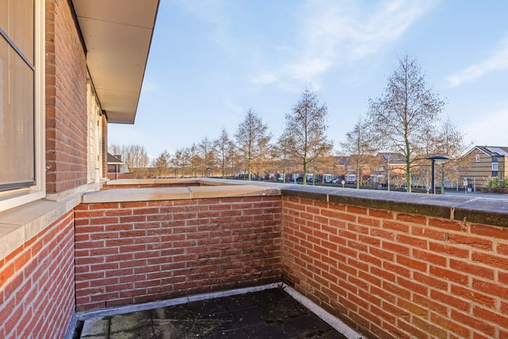 Foto 18 van Wijngaard 11