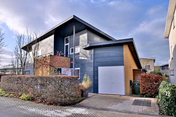 Foto 1 van Willem Roelofsstraat 35