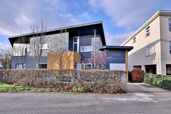 Foto 49 van Willem Roelofsstraat 35