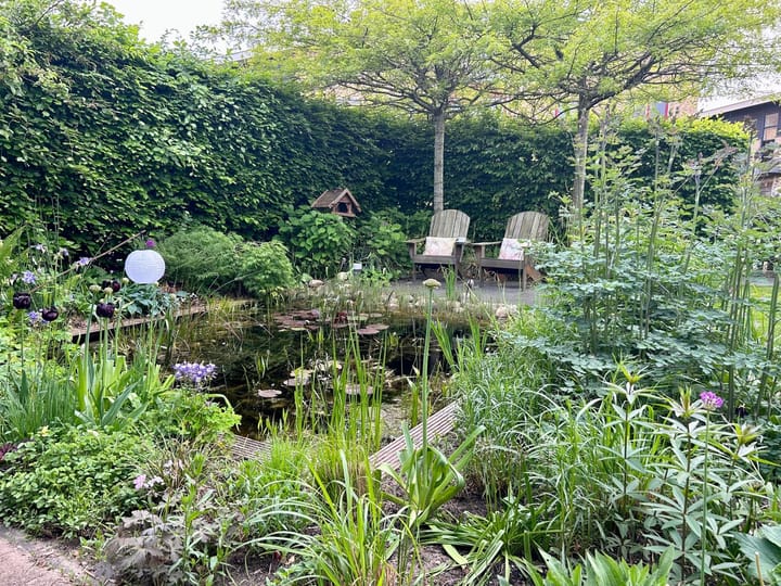 Foto 52 van Willem Roelofsstraat 35