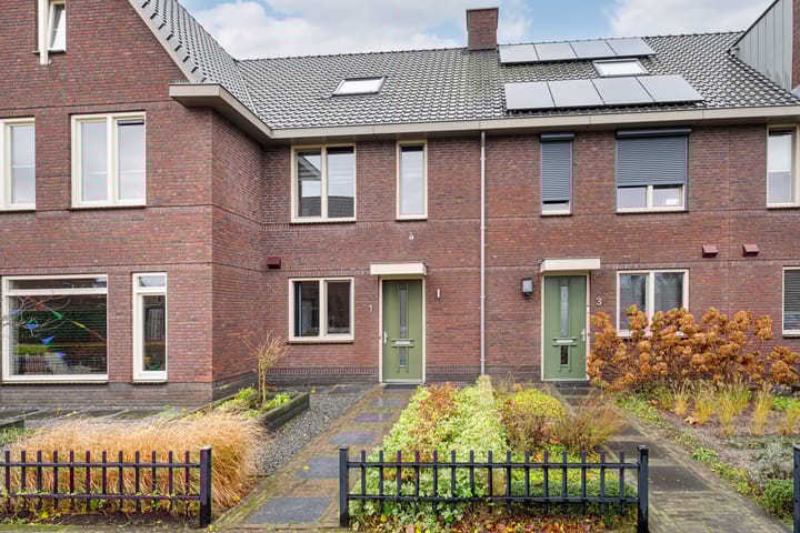 undefined main image