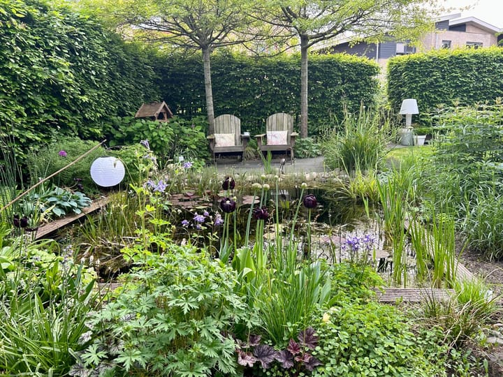 Foto 53 van Willem Roelofsstraat 35