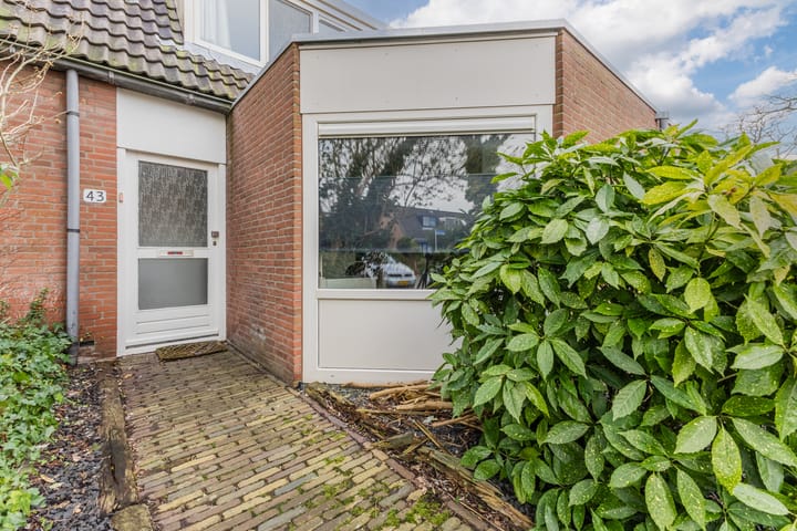 Foto 5 van Schokkerhof 43