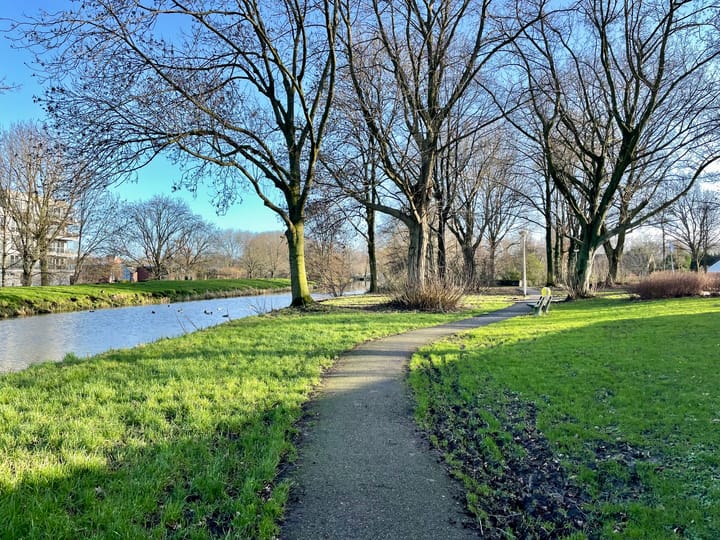 Foto 20 van Lupinesingel 326-A