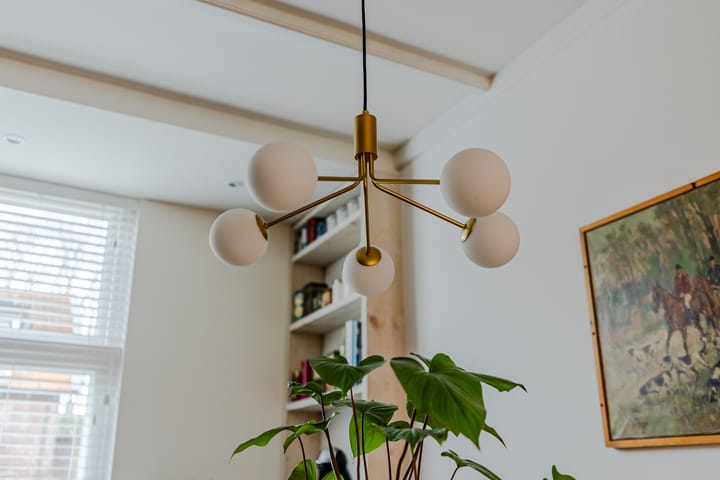 Foto 12 van Palmstraat 261