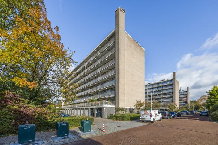 Foto 2 van Suzannaland 300