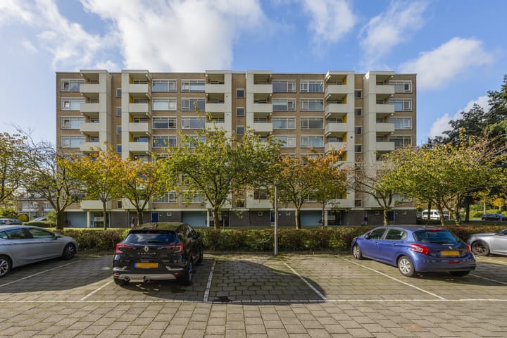 Foto 5 van Suzannaland 300