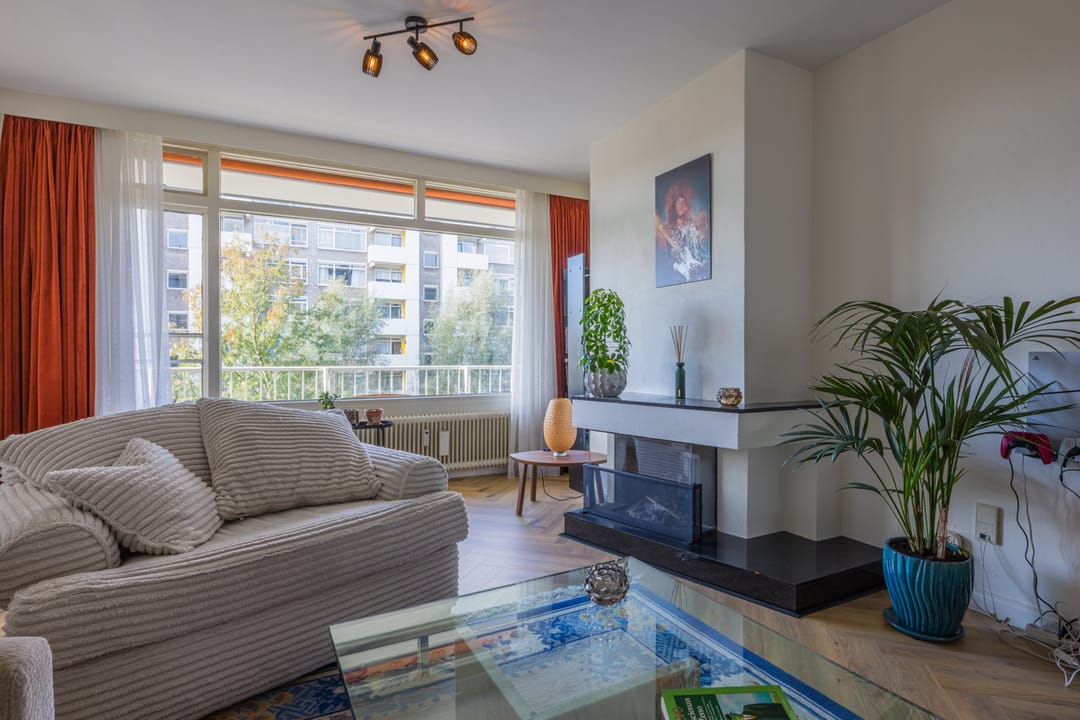 Foto 13 van Suzannaland 300