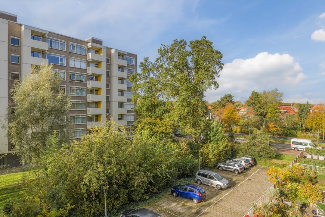 Foto 16 van Suzannaland 300