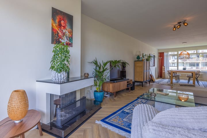 Foto 17 van Suzannaland 300