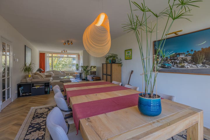 Foto 21 van Suzannaland 300