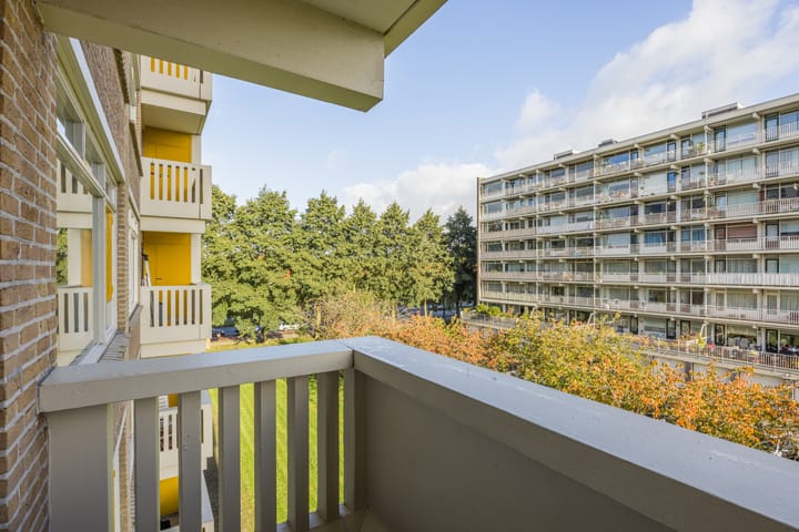 Foto 27 van Suzannaland 300