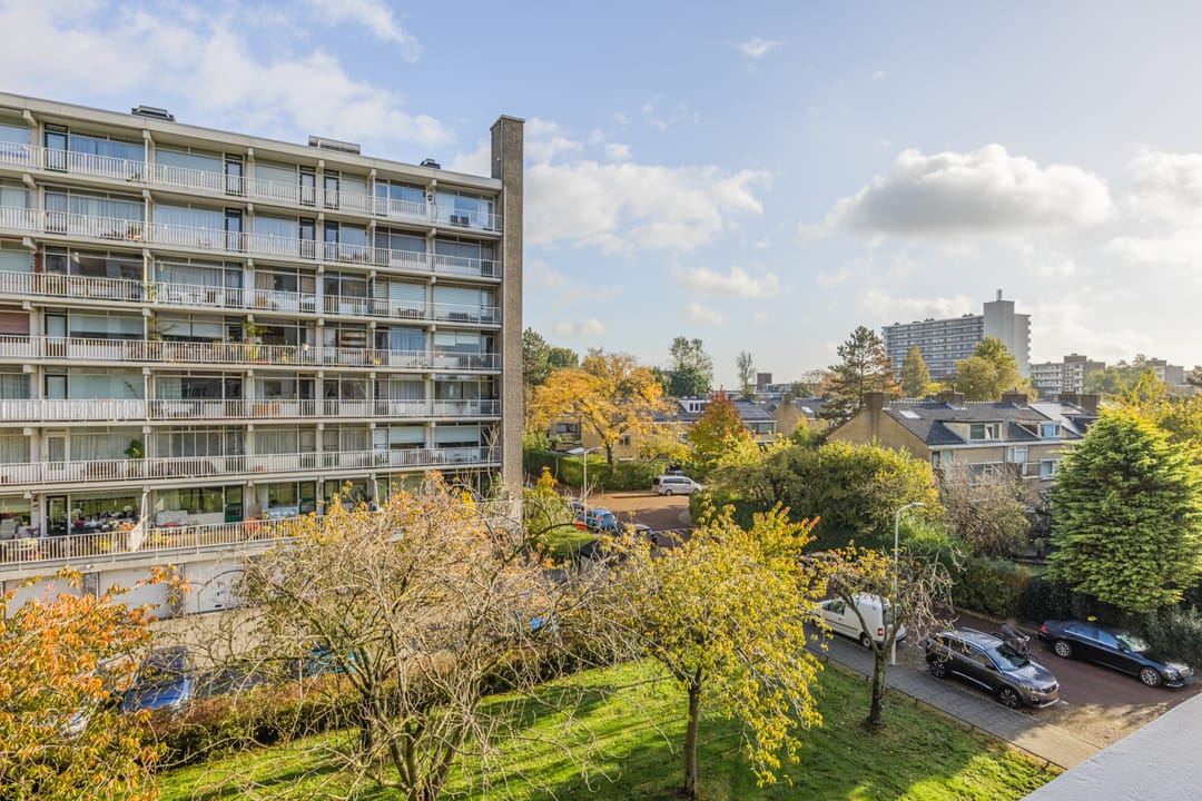 Foto 28 van Suzannaland 300