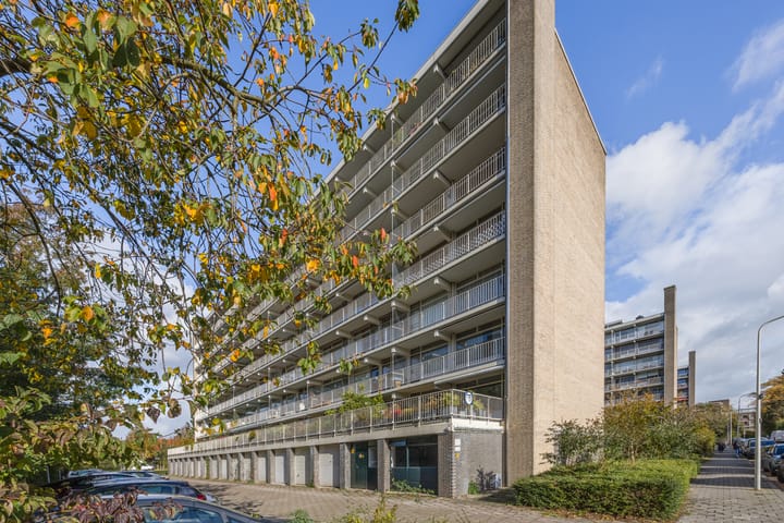 Foto 35 van Suzannaland 300