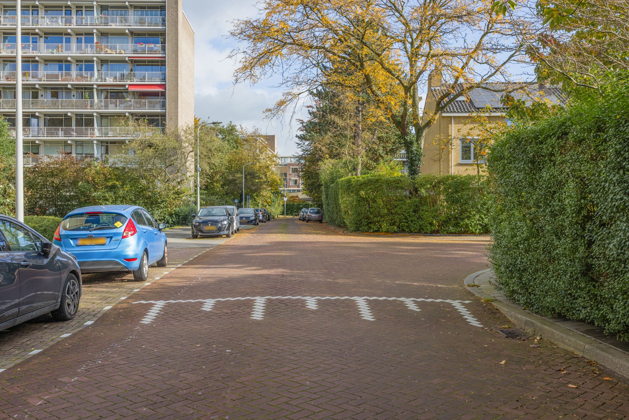 Foto 36 van Suzannaland 300