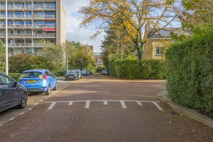 Foto 36 van Suzannaland 300