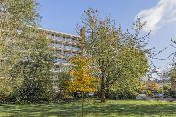 Foto 37 van Suzannaland 300