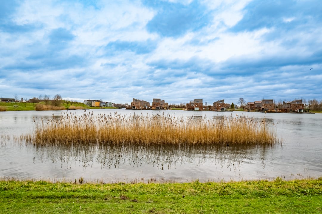 Foto 26 van Rimpelmos 13-A