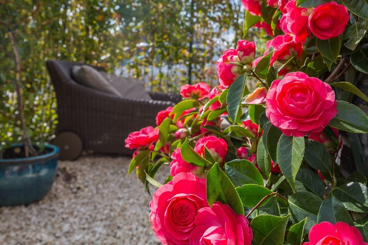 Photo 16 of Maria Dermoûtlaan 1